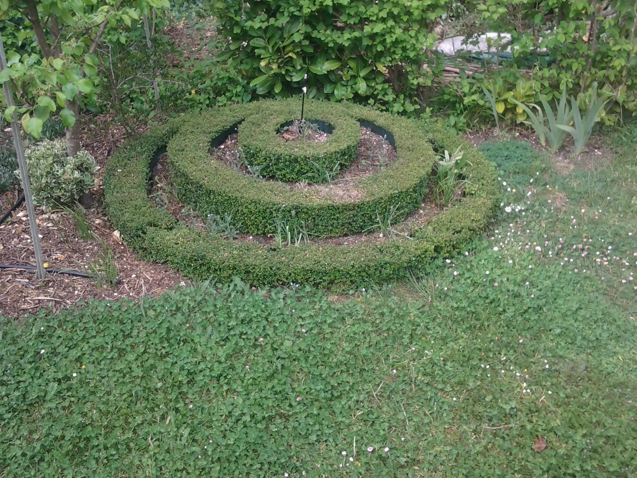 Sculpture et taille de topiaires dans le jardin