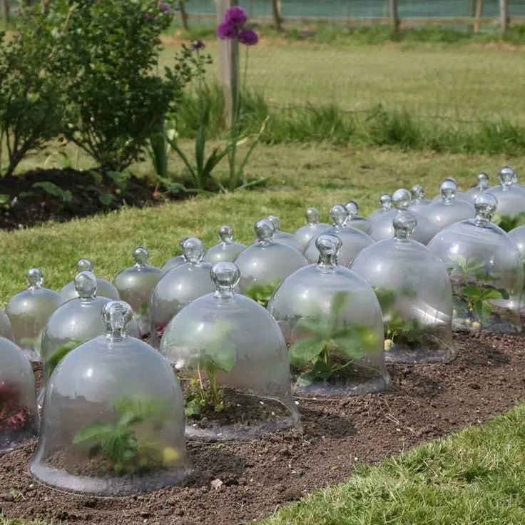 Photo de Cloches de jardin