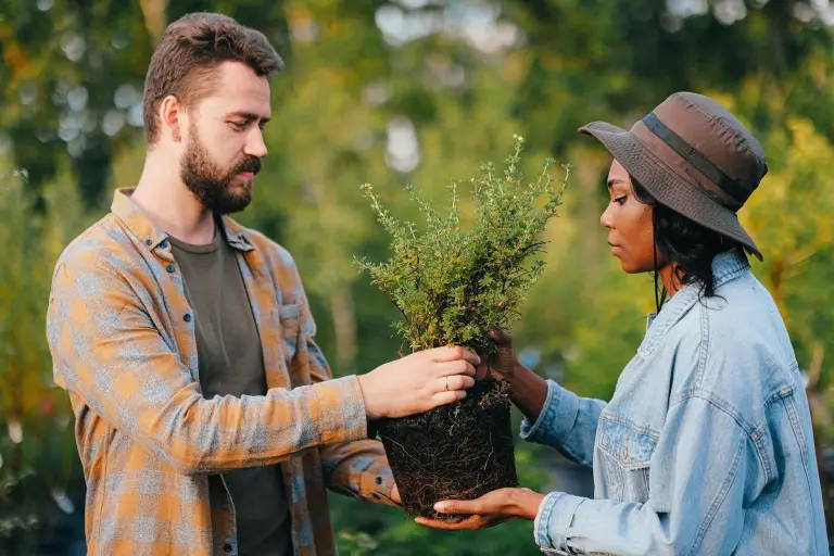 Les initiatives de reforestation et de gestion durable des forêts.