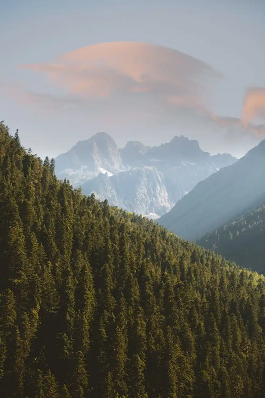 Forêts de pins