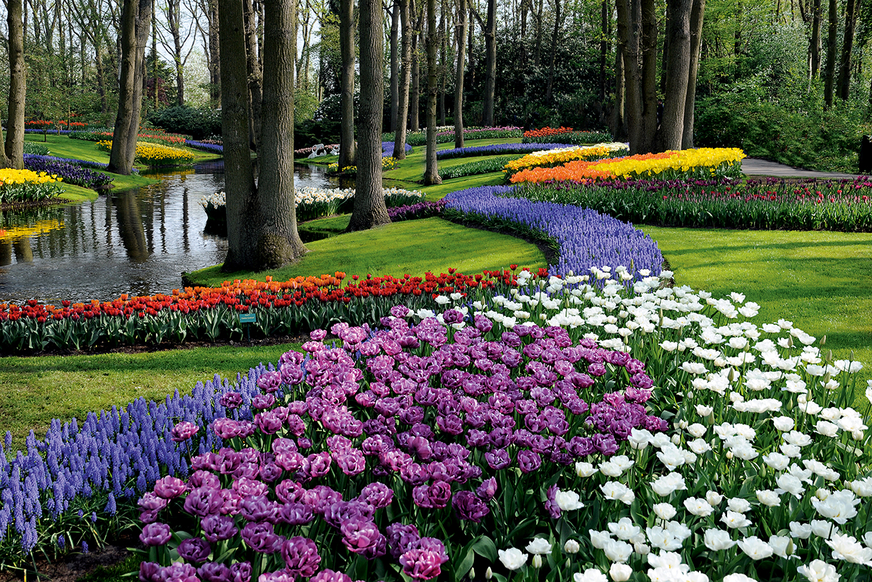 jardin_avril.jpg
