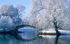 Photo ilustrant un jardin en hiver