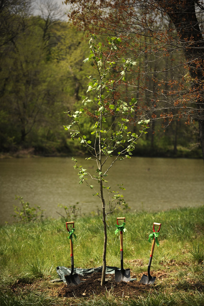 Plantation d'arbres pour le Jour de la Terre