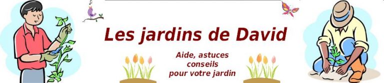 Les jardins de David